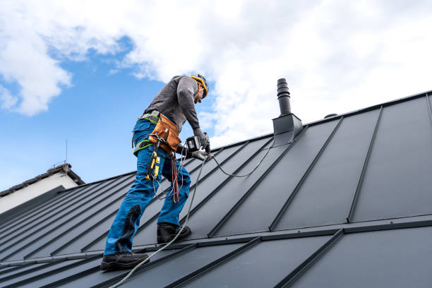 Best Skylight Installation and Repair  in East Hemet, CA